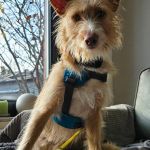 Eneko_20251221_132743