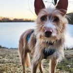 Eneko_20251230_160843