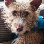 Eneko_20260101_122257