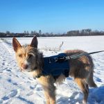 Eneko_20260105_122022