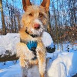 Eneko_20260110_150239