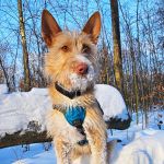 Eneko_20260110_150252