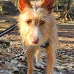 Eneko_20260215_140037