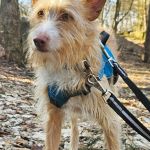 Eneko_20260215_140147