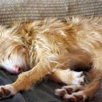 Eneko_20260215_214733