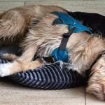 Eneko_20260313_173145