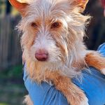 Eneko_20260322_151348