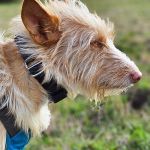 Eneko_20260331_171730