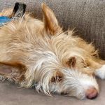 Eneko_20260407_134018