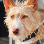 Eneko_20260407_171312