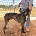 Enzo_IMG_2334