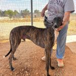 Enzo_IMG_2336