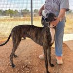 Enzo_IMG_2337