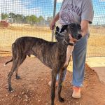 Enzo_IMG_2338