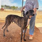 Enzo_IMG_2339