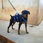Eros_IMG-20260919-WA0058
