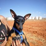 Eros_IMG-20260919-WA0065