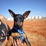 Eros_IMG-20260919-WA0067