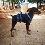 Eros_IMG-20260919-WA0103