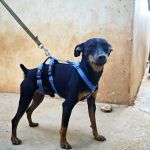 Eros_IMG-20260919-WA0110
