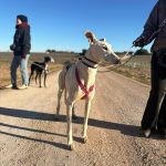 Felipe_2026-02-23 at 20-04-48