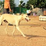 felipe_IMG_6193