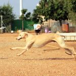 felipe_IMG_6195