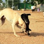 felipe_IMG_6197