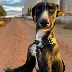 Frank_img-20251108-wa0045