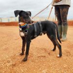 Frank_IMG_20251115_122121