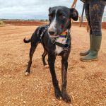 Frank_IMG_20251115_122135