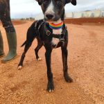 Frank_IMG_20251115_122210