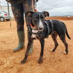 Frank_IMG_20251115_122224