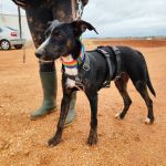 Frank_IMG_20251115_122224_1