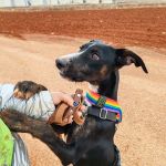 Frank_IMG_20251115_122251