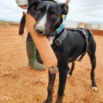 Frank_IMG_20251115_122328