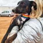 Frank_IMG_20251115_122353