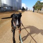 Frank_IMG_20251117_135445