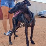 Frankie_17-16-00 (11)