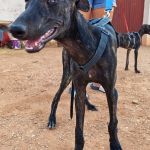 Frankie_17-16-01 (6)