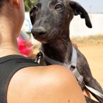Frankie_IMG-20260621-WA0054