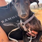 Frankie_IMG-20260621-WA0056