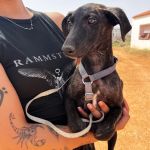 Frankie_IMG-20260621-WA0065