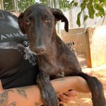 Frankie_IMG-20260621-WA0070