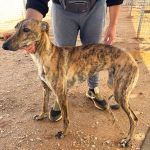 Freya_IMG_1310
