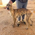 Freya_IMG_1313