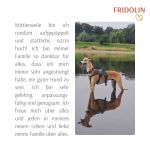 Fridolin04