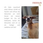 Fridolin05