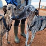 Gaza_IMG_20251230_181021