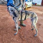 Gaza_IMG_20251230_181127